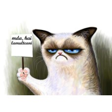 A4GCss Vafa Pisica Grumpy Cat 30x20cm